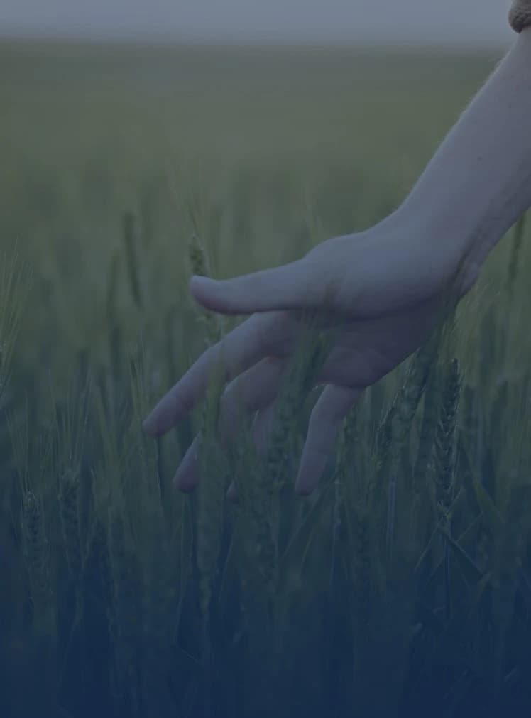 Agro 원료 라인업